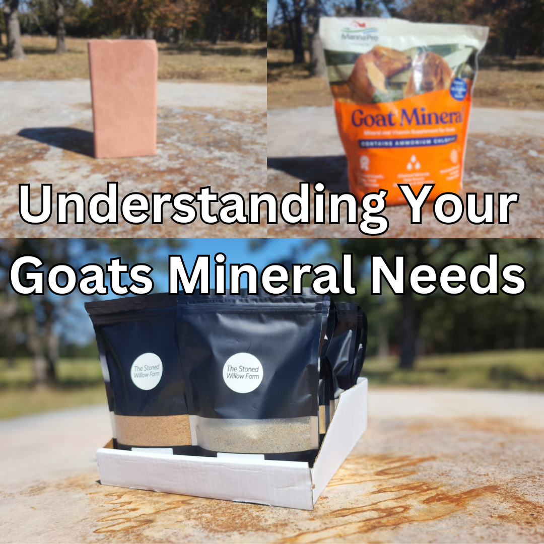 Understanding Your Goats Mineral Needs